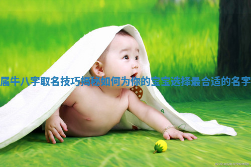 属牛八字取名技巧揭秘如何为你的宝宝选择最合适的名字
