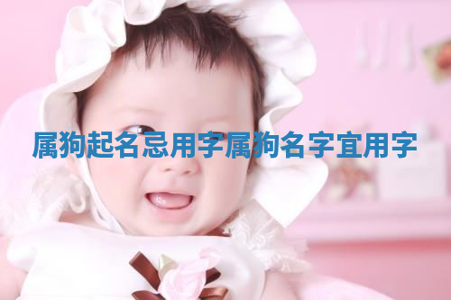 属狗起名忌用字_属狗名字宜用字