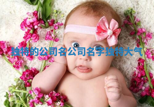 独特的公司名_公司名字独特大气