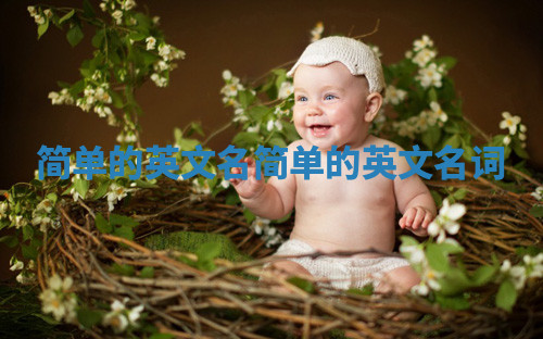 简单的英文名 简单的英文名词