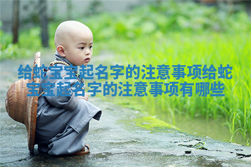 给蛇宝宝起名字的注意事项_给蛇宝宝起名字的注意事项有哪些